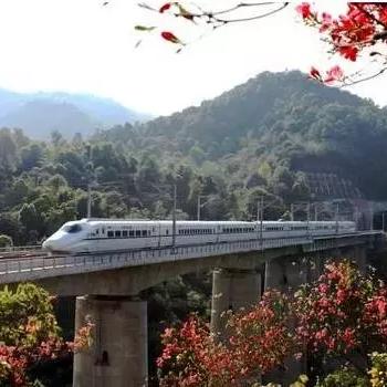 福建为啥那么多黄花梨？