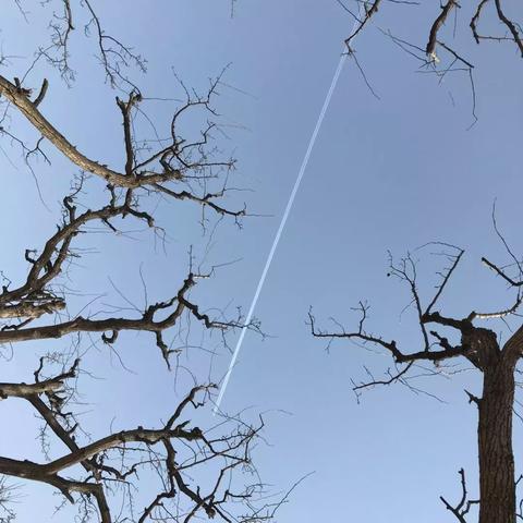 兰州市哪里有植物医生店