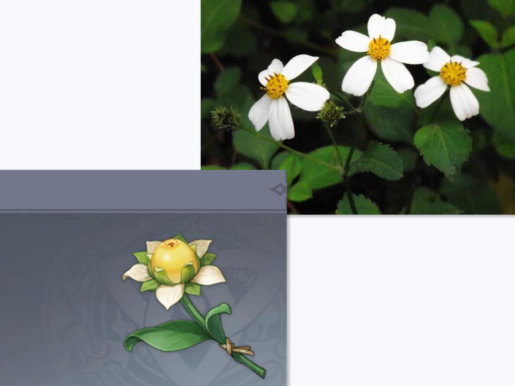 怎么提取原神抽卡记录（原神哪里搜原神获取记录）