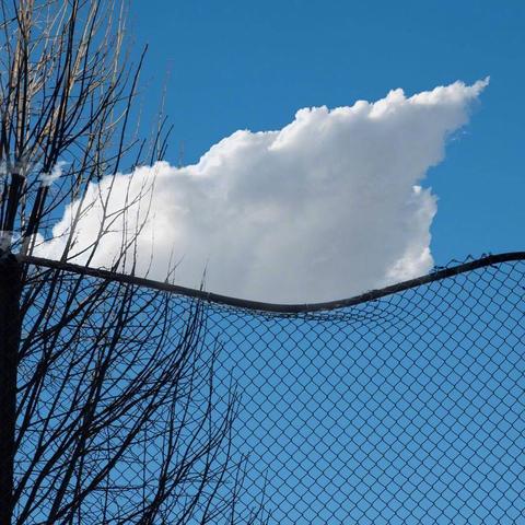 明天重庆的天气怎么样