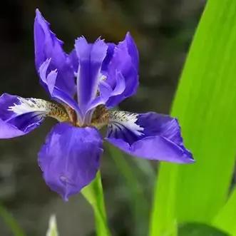 蝴蝶梦 电影的长尾关键词有什么