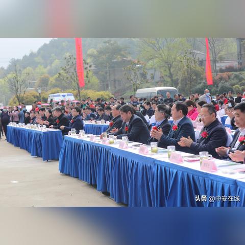 合肥商务茶相关长尾关键词有哪些