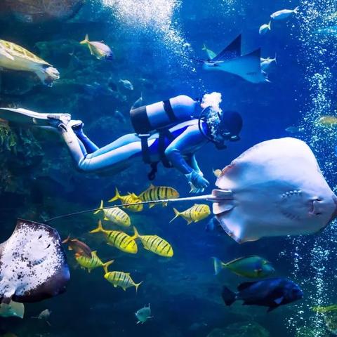 厦门水下的相关长尾关键词有哪些