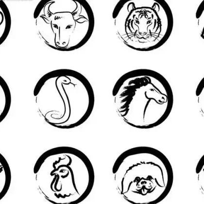 亥猪的五行属火(火猪命五行缺什么)