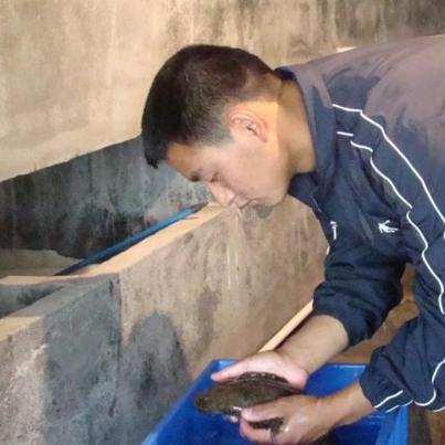 2001南宁洪水的相关长尾关键词有哪些