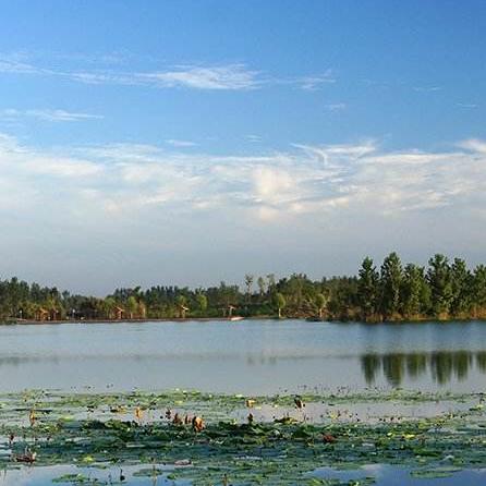 河南虞城在全国百强县之内吗？