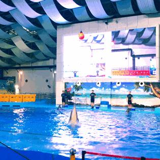 合肥市哪里凉快又好玩的