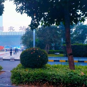 深圳市开的士要什么条件