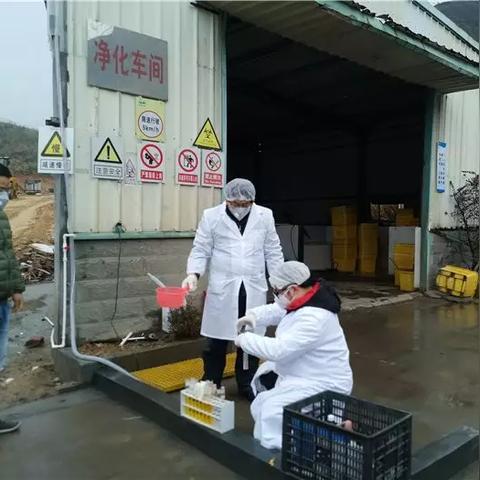 福建查环保的相关长尾关键词有哪些