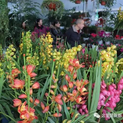 成都市香城庭院房价多少的长尾关键词有什么