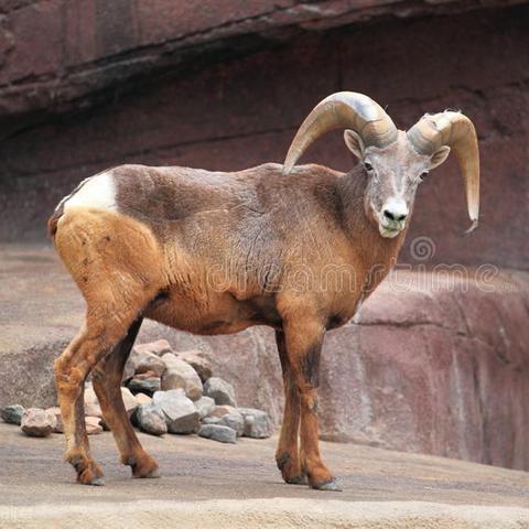 天德贵人是不是祖上积德(天德贵人啥意思)