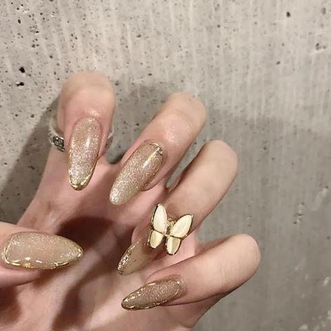 快师教育机构怎么样，他们的本科证书是真吗？