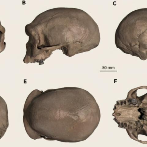 哈尔滨酒龙酒相关长尾关键词有哪些