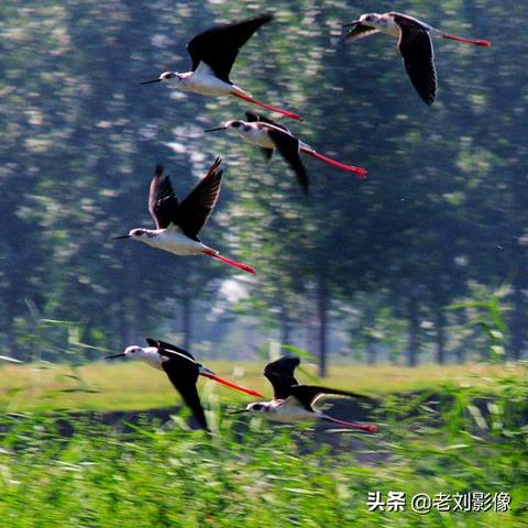 保定市男人天堂的长尾关键词有哪些