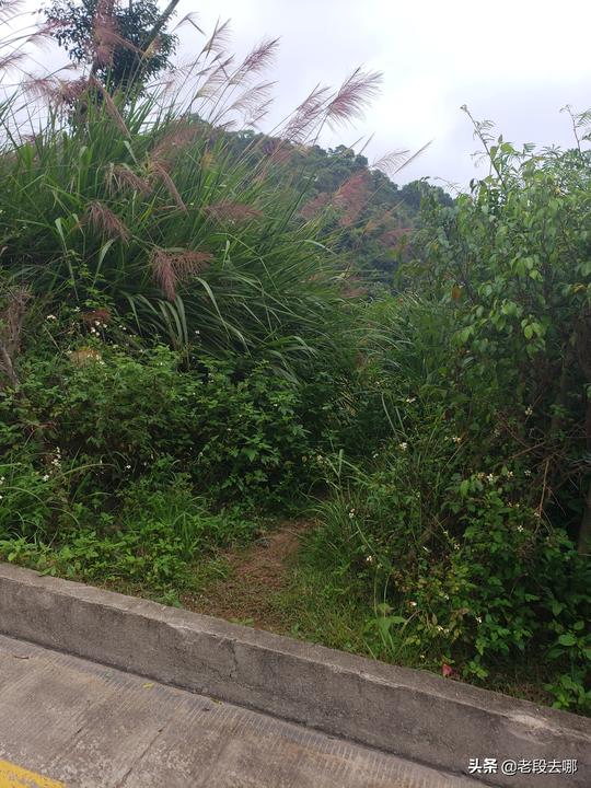 深圳葵涌到大鹏几个冷门小沙滩，交通便利，游泳烧烤赶海一网打尽