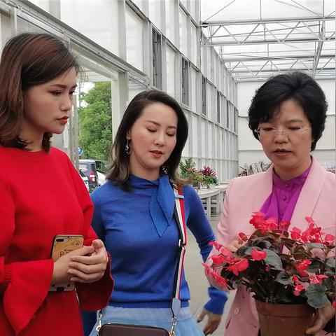 桂林妇科叠彩妇科负责相关长尾关键词有哪些