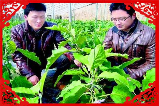 对于今年留守农村的创业者，在农村有什么好的创业项目？推荐几个