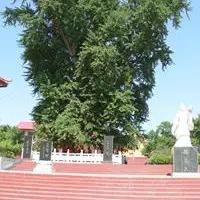 临沂市太平旅游的长尾关键词有哪些