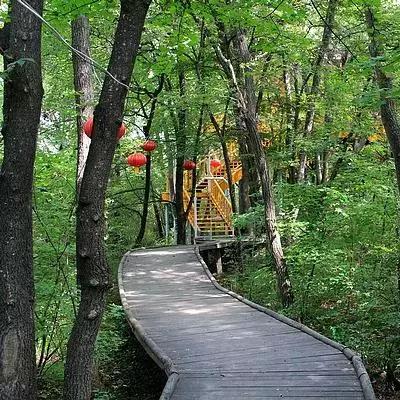 桂林市农家菜套餐有哪些