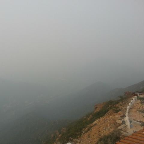 石家庄市哪里有森林公园