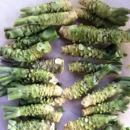 东莞市所有菜市场在哪里