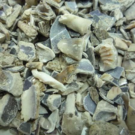 河南贝壳粉加盟哪家好的相关长尾关键词有哪些