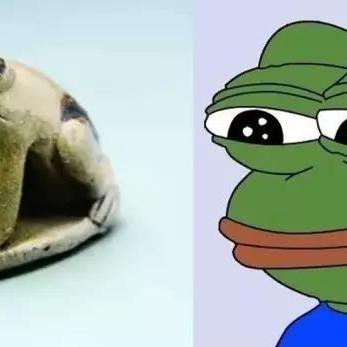 长沙伤心地相关长尾关键词有哪些