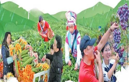 中国农业正从单一走向复合型；专家：养猪是一件苦差事