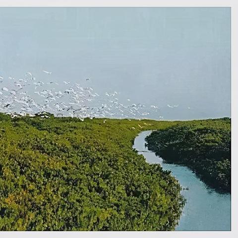 福建北回归线地图穿过的县市？