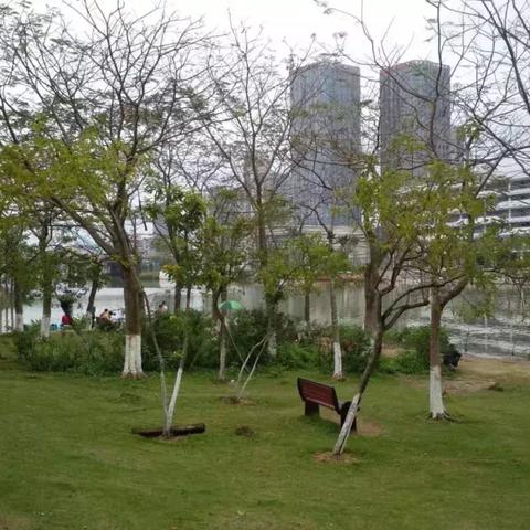 在广州南沙哪里有创业孵化器？