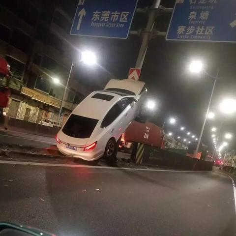 东莞市莞樟在哪里