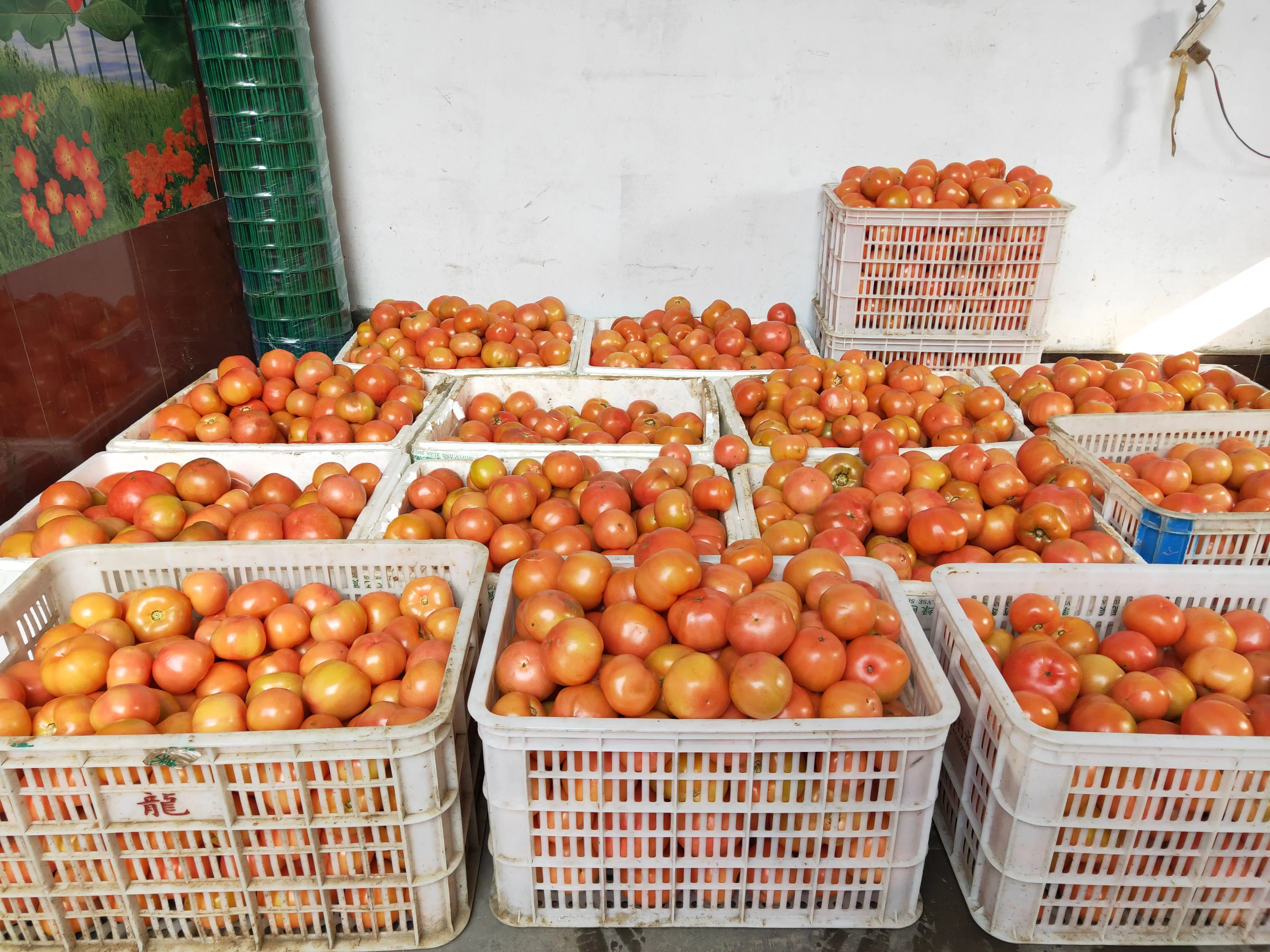 纯利润怎么算 如何算纯利润