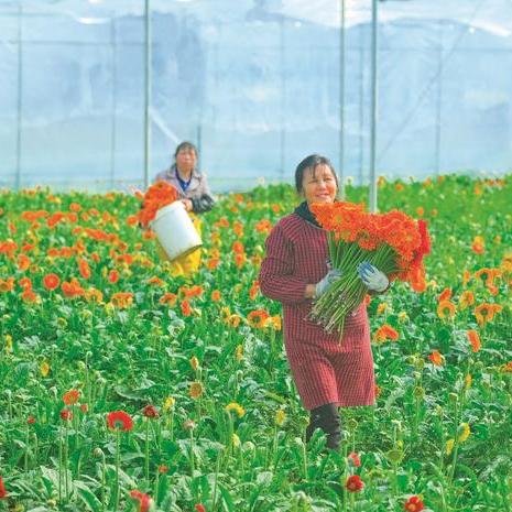 长沙红星花卉大市场做几路公交车过去？