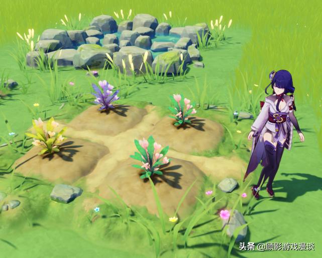 原神梦里花花种怎么种（原神蒲公英的种子哪有卖）