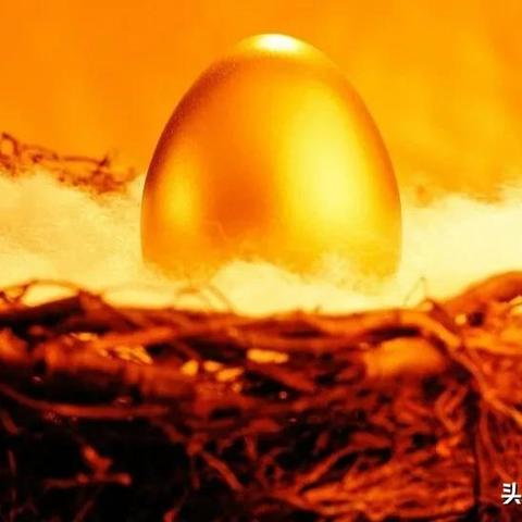 五行生克的实质(五行生克精髓牢记)