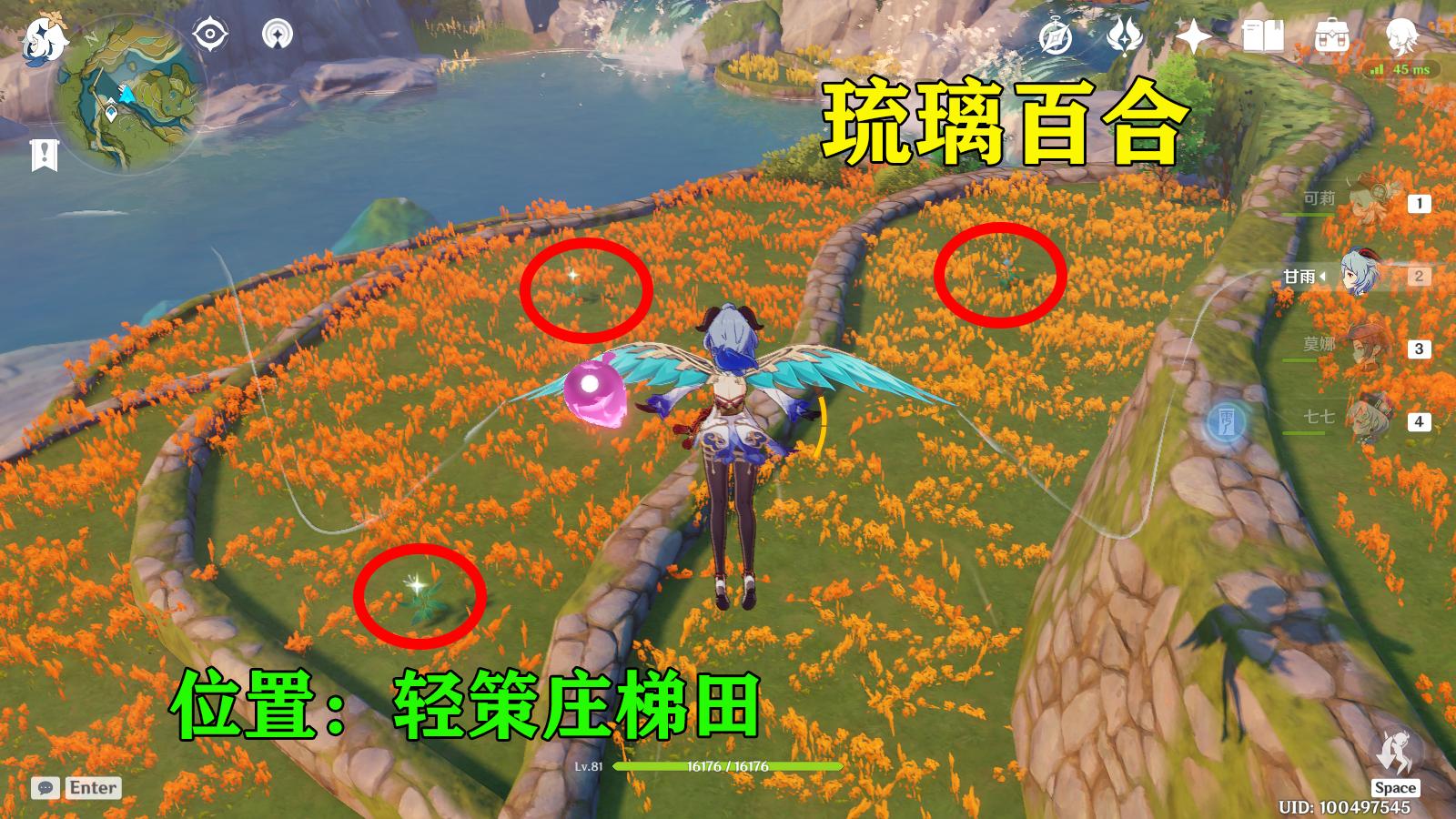 原神琉璃宫怎么去（原神里琉璃盏哪里）