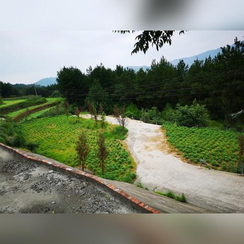 哈尔滨市吉平驾校怎么样