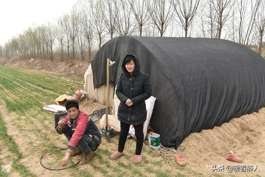 河南夫妻带2个月婴儿蜗居山西黄河滩种地，称：收入是打工5倍