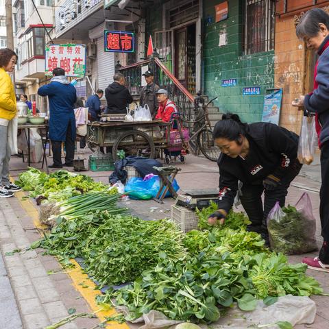 【哈尔滨今日蔬菜价格】2025年3月25日哈尔滨蔬菜价格是多少