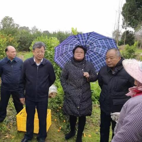 桂林汽车总站图片相关长尾关键词有哪些