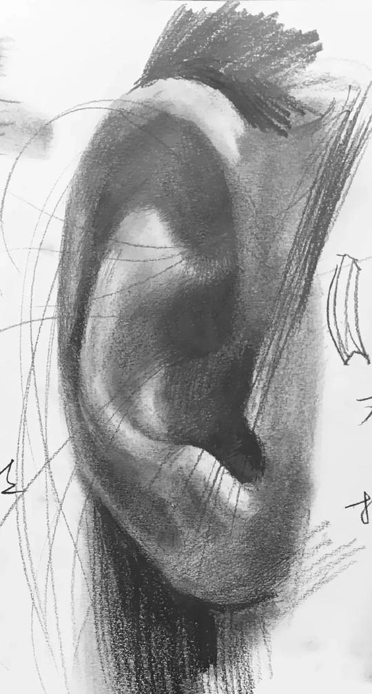 素描功底不扎实，什么都画不好！超强干货素材，帮你解决烦恼