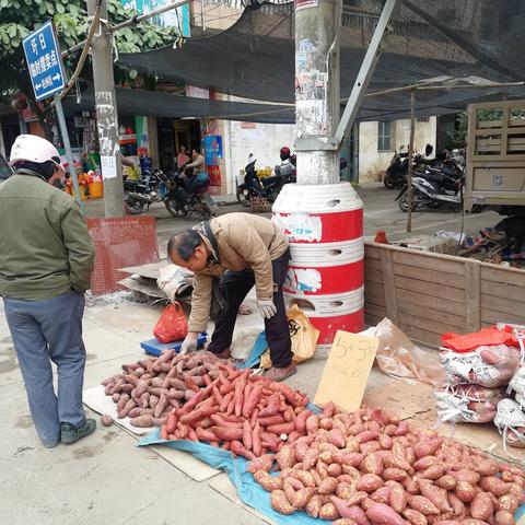 南宁市气候经济怎么样