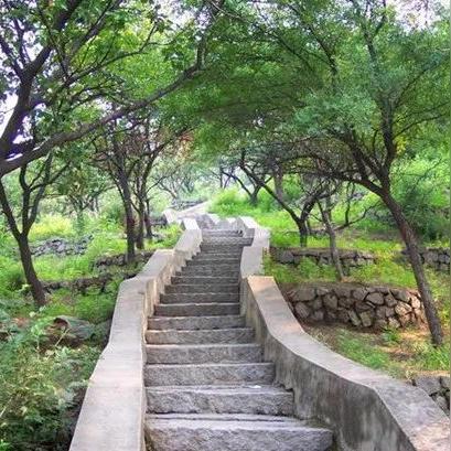 武汉青山公园值得去嘛？