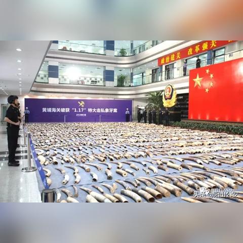 合肥公安厅地址相关长尾关键词有哪些