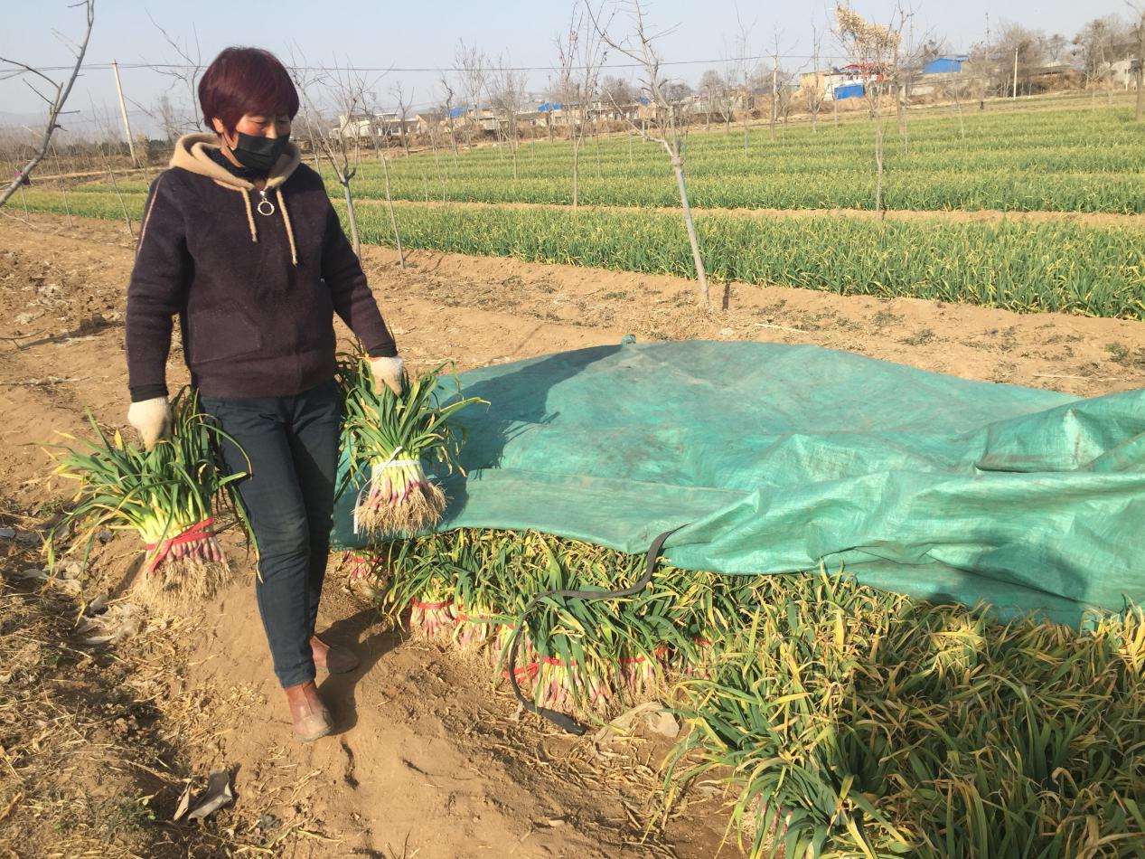 【自助下单24小时平台
 /和平精英自助下单24小时平台】