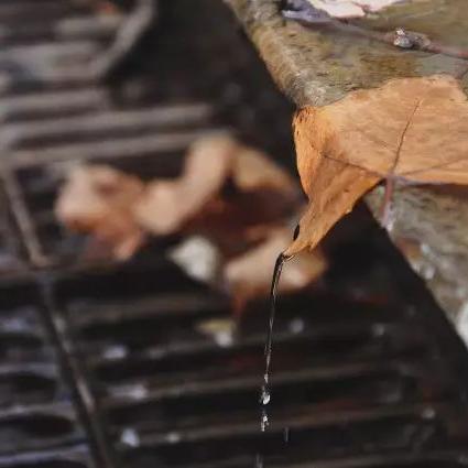 红枫西安相关长尾关键词有哪些