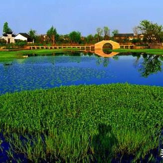 杭州市抽的烟是什么烟品牌