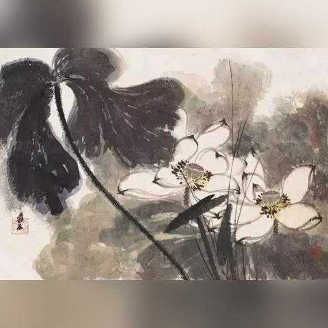 大缸养荷花放在什么地方好？