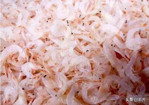 chatgpt可以做高数吗(chatGPT可以做高数吗)