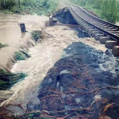 北京到哈尔滨车为什么都停运了？